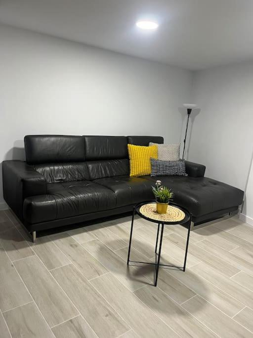 Myra Urban Apartment
